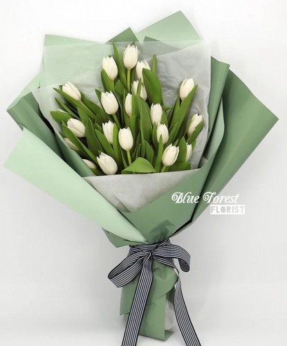 荷蘭白色鬱金香花束