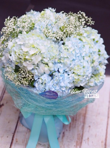 * 荷蘭淺藍大繡球花束