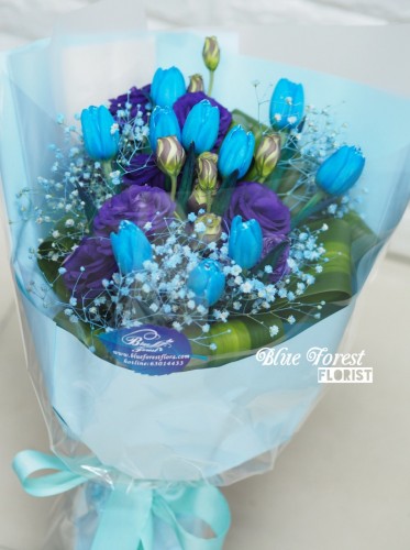 荷蘭藍色屈金香