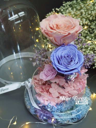 *保鮮•愛系列 *發光玻璃罩玫瑰保鮮花（淺粉紅色配薰衣草色）*可免費刻上名或祝福字句