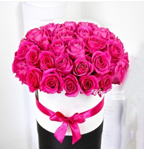 36枝桃紅玫瑰花盒