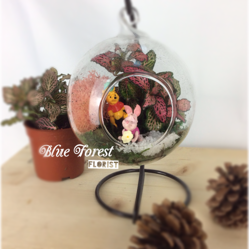 小熊維尼微景觀玻璃瓶植物