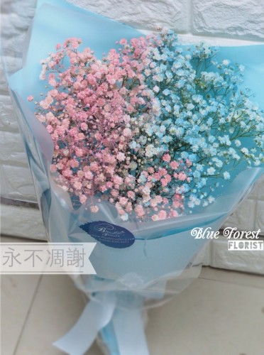 情人節系列 韓式 雙色滿天星花束