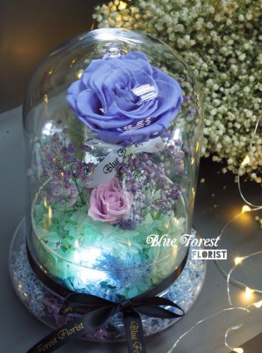 *保鮮•愛系列 *發光玻璃罩玫瑰保鮮花（薰衣草色）*可免費刻上名或祝福字句
