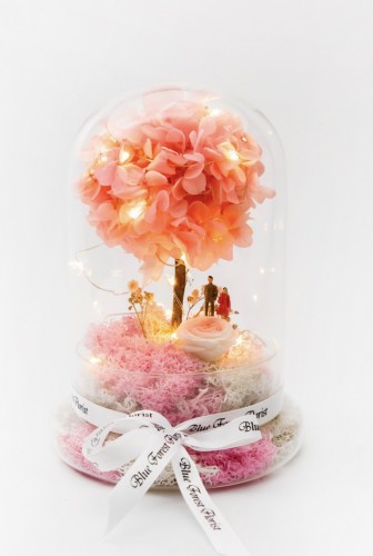 情人節系列 櫻花樹下 *玻璃罩繡球保鮮花（配led星星燈）*可免費刻上名或祝福字句