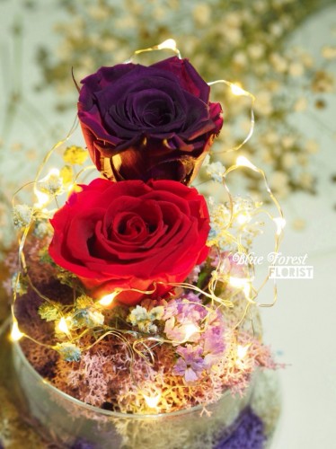 保鮮•愛系列 *LED玻璃罩玫瑰保鮮花（紅/深紫）*可免費刻上名或祝福字句