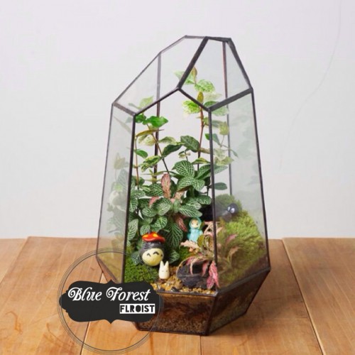 P205龍貓微景觀玻璃瓶植物