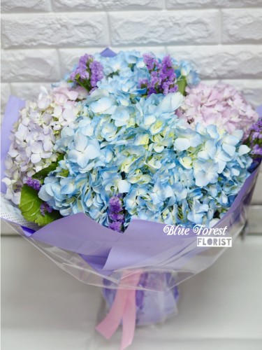 淺色系荷蘭秀球花束(4球裝）