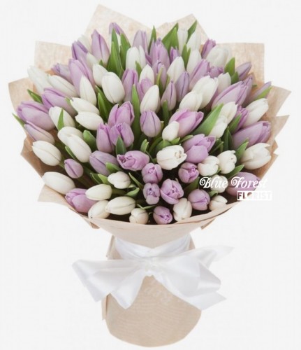 99枝裝紫白色鬱金香花束