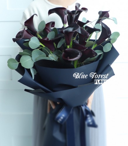 荷蘭紫黑色馬蹄蘭簡約花束