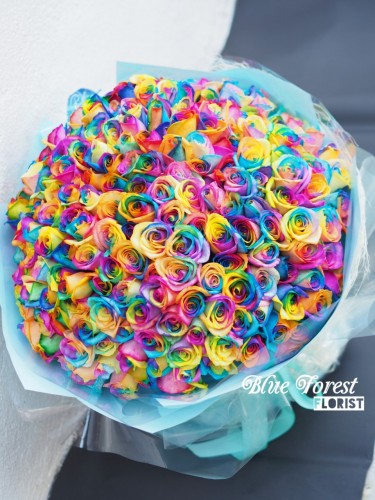 99枝荷蘭彩虹玫瑰花束