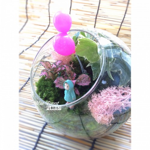 宮崎駿微景觀玻璃瓶植物4