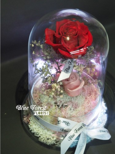 *保鮮•愛系列 *發光玻璃罩玫瑰保鮮花（紅色）*可免費刻上名或祝福字句