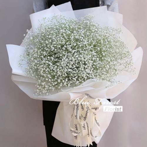 白色滿天星花束(大SIZE)