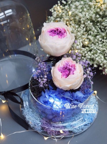 保鮮•愛系列 *發光玻璃罩Garden Rose保鮮花*可免費刻上名或祝福字句