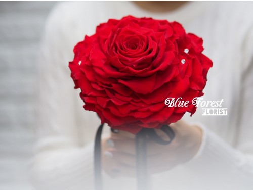 巨大日本保鮮玫瑰花花球