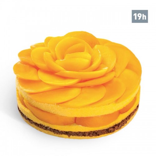 新鮮芒果配蛋糕(連代購及直運服務）