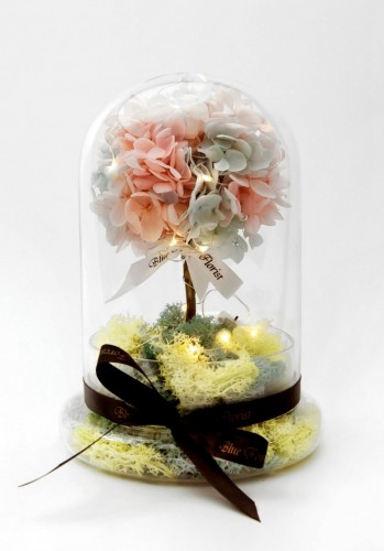 Little Lemon tree *玻璃罩繡球保鮮花（配led星星燈）*可免費刻上名或祝福字句