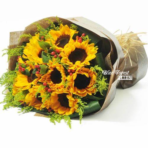 10枝台灣向日葵圓花束*