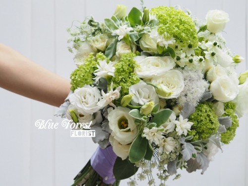 大眼雀梅綠白色簡約花球