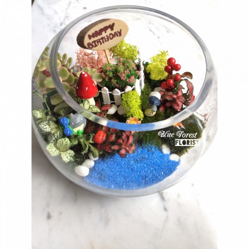 91龍貓微景觀玻璃瓶植物