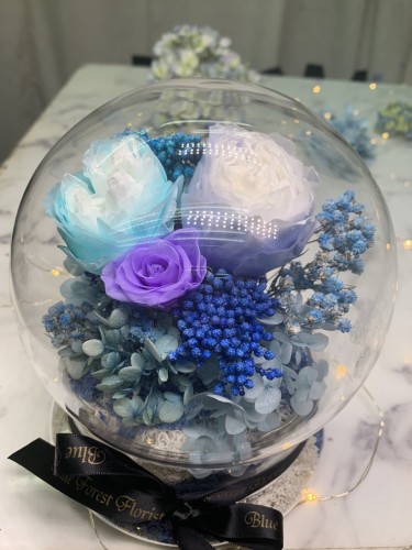 *幸福水晶球系列 *玻璃罩玫瑰保鮮花（3拼色）Garden Rose）*可免費刻上名或祝福字句