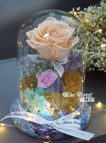 *保鮮•愛系列 *發光玻璃罩玫瑰保鮮花（香檳色）*可免費刻上名或祝福字句