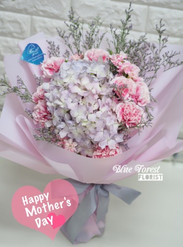 Mother's day精選*康乃馨配荷蘭粉紅秀球花束