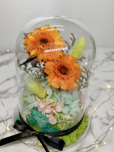 *保鮮•愛系列 *玻璃罩太陽花保鮮花（橙黃色）*可免費刻上名或祝福字句