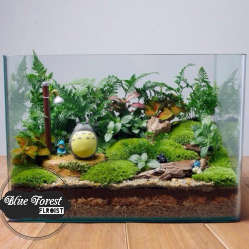 P2817龍貓微景觀玻璃瓶植物