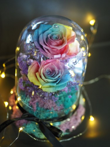 *  保鮮•愛 *發光玻璃罩玫瑰保鮮花（彩虹玫瑰）*可免費刻上名或祝福字句