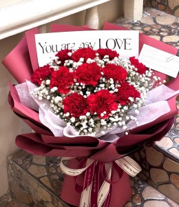 Mother's day精選*18支裝紅色康乃馨花束